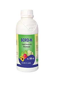 बोरो एम BORO-M